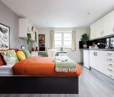 Large Standard Double Studio - Photo 2