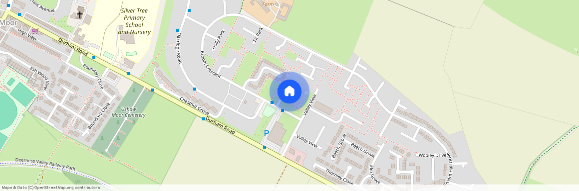 Pine Park, Ushaw Moor, Durham, County Durham, DH7