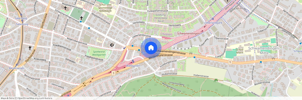 Schwamendingenstrasse, Zurich