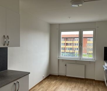 Långarödsvägen, Höganäs - Photo 1