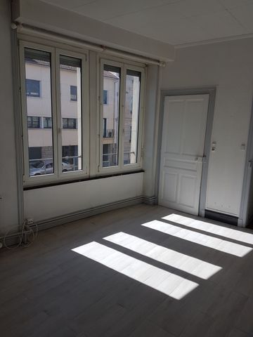 Location Appartement 1 pièce 21m² NANCY 54000 - Photo 4