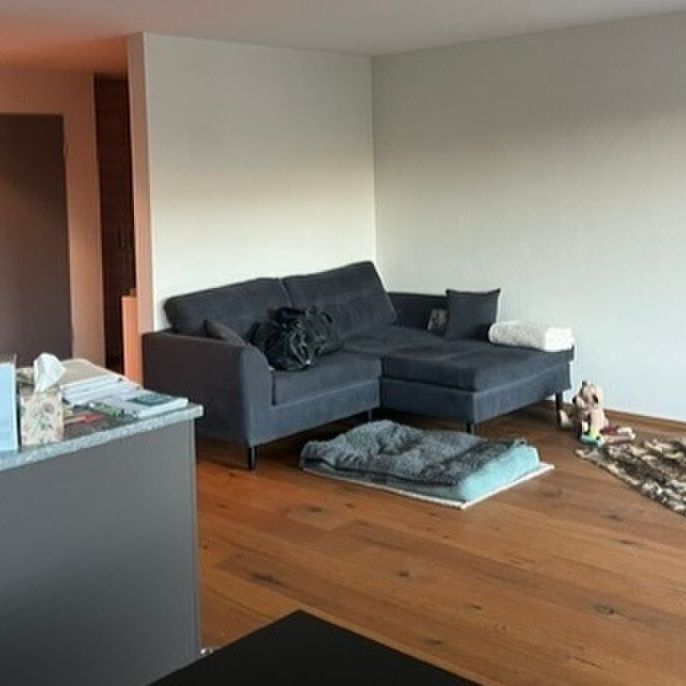 21/2 ROOM APARTMENT IN EINSIEDELN (SZ), FURNISHED - Photo 1