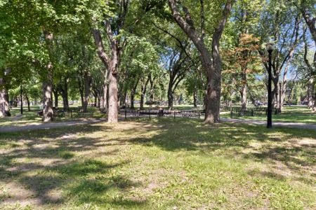 Appartement à louer, Montréal (Le Plateau-Mont-Royal) - Photo 3