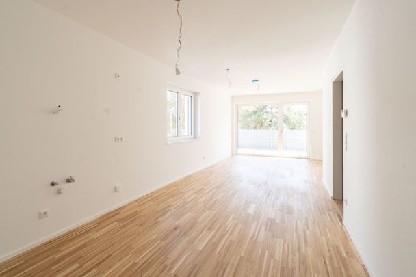 Moderne 2-Zimmer-Wohnung mit Terrasse in Nettingsdorf zu mieten! - Photo 1