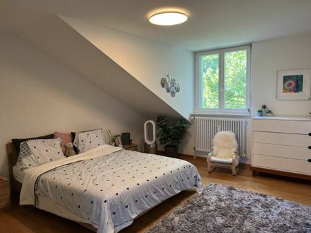 exklusive Maisonettewohnung in der St. Alban Anlage - Foto 3