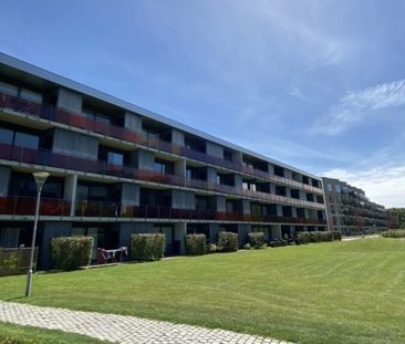 Munkebjergvænget 9E, st., 5230 Odense M - Foto 6