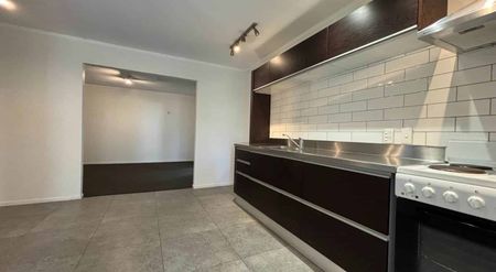 3-Bedroom Downstairs Unit in the Heart of Paku... - Photo 5