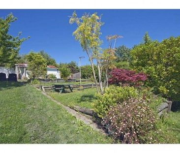 24 Matipo Terrace, Nelson South, Nelson - Photo 5