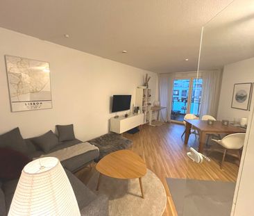 Mainz-Neustadt: Neubau 2-Zimmer, EBK, Balkon, TG-Stellplatz (Duplex) - Photo 1