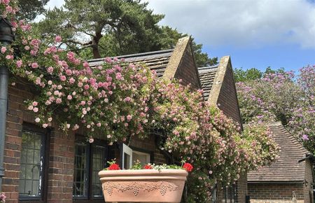 2 bedroom house to rent - Photo 3