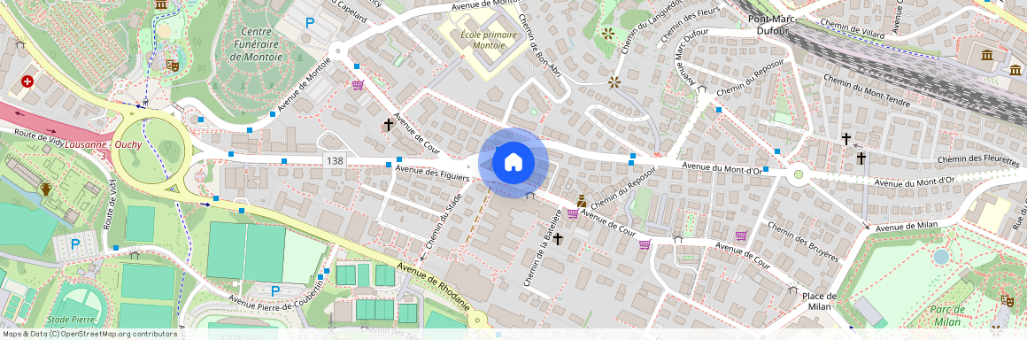 1007, Lausanne, Avenue De Cour, 96
