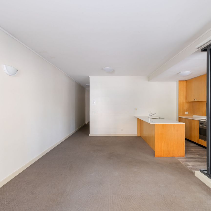 5/1 Boronia Street, Kensington NSW 2033 - Apartment For Rent | Domain - Photo 1