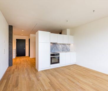 1.5 Zimmer, 38 m², 17. Stock - Foto 1