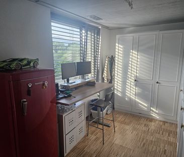 31/2-ROOM APARTMENT IN ZUCHWIL (DIM), FURNISHED, TEMPORARY - Foto 2