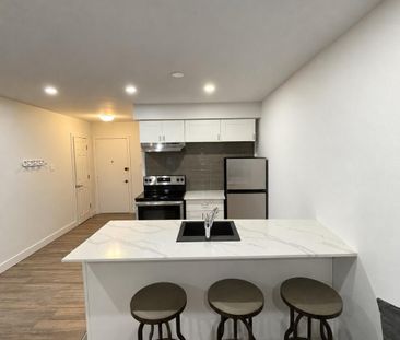 1 CH - 1 SDB - Montréal - $1,549 /mo - Photo 2