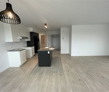 820-304, rue Lamarche, Sherbrooke, J1H 0M9 3½ pour Janvier - Photo 4