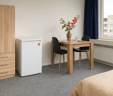 Chambre Polakweg 13-C, Rijswijk - À louer - Foto 3