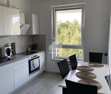 Widok na las, duży balkon, winda - Zdjęcie 2