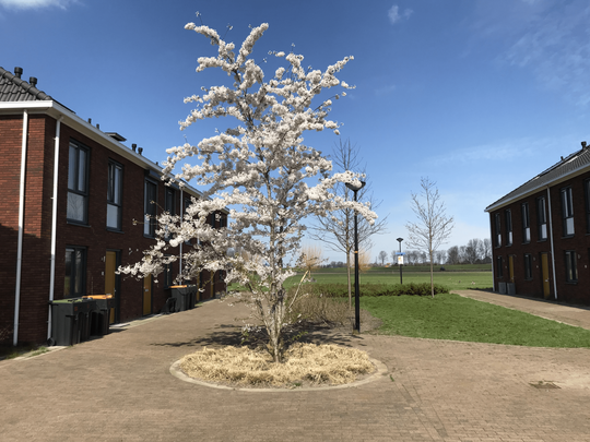 Dotterbloem Erf 9 Heerhugowaard - Photo 1