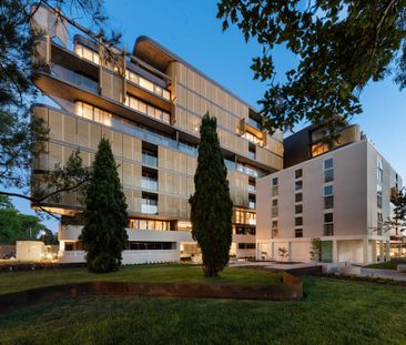 211/352 Northbourne Avenue, Dickson ACT 2602 - Apartment For Rent |... - Photo 5