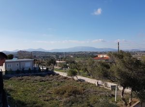 Μονοκατοικία για ενοικίαση - Μαρκόπουλο, - Photo 2