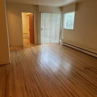 Massive 2 Bedroom Apartment - Photo 1