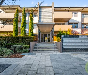 Modern Courtyard Living with Resort - Style Perks – Walk to Westfie... - Photo 3