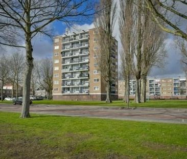 Zuidervaart 0ong, 1504 Zaandam, Nederland - Foto 1