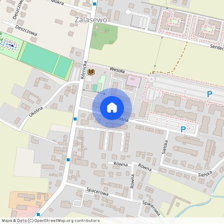 ul. Radosna, Zalasewo, Swarzędz, poznański, wielkopolskie