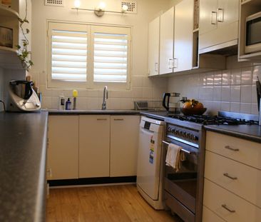 North-facing, Sun-Drenched, Renovated in Convenient Location - Photo 5