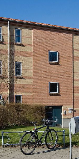 Grejsåvænget 81, 1. tv. - Foto 1