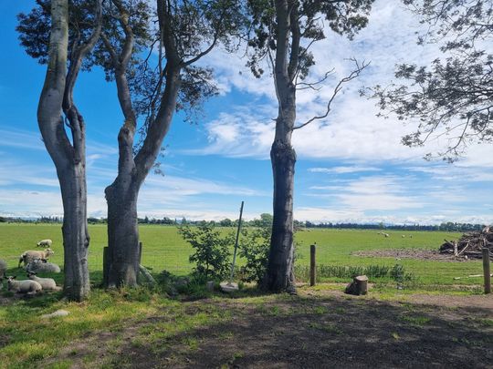 3 Bedroom cottage with rural outlook - Photo 1