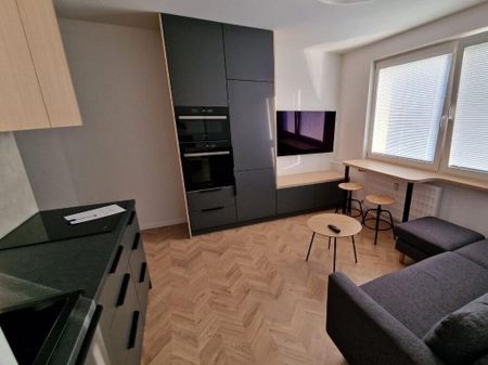 Pronájem bytu 1+1 48 m2 - Fotografie 3