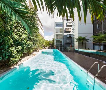 404/2-4 Powell Street, Waterloo NSW 2017 - Townhouse For Rent | Domain - Photo 3