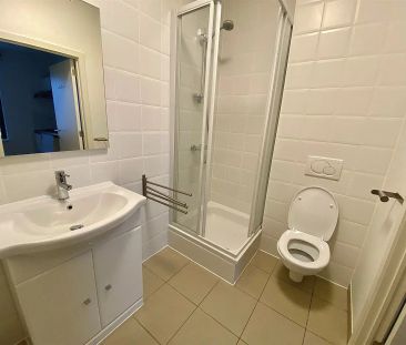 Prachtige gemeubelde studio's met warmtepomp en zonnepanelen - Photo 6