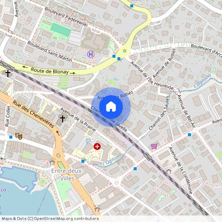 1800, Vevey, Chemin Emile-Javelle, 26