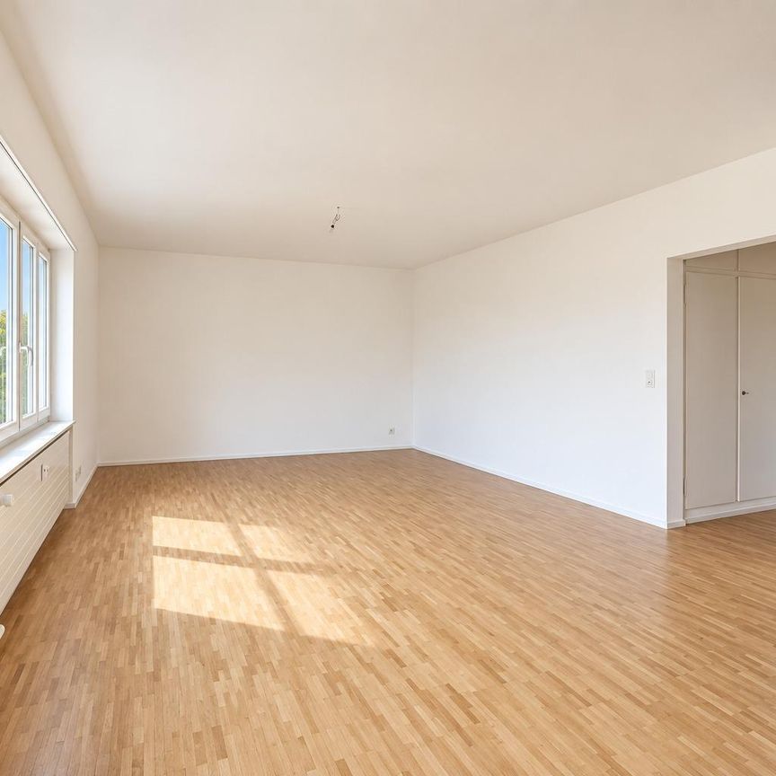 renovierte 1- Zimmerwohnung in Basel nähe Felix Platter Spital - Photo 1