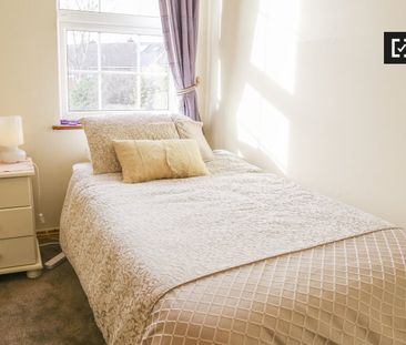 Charming room in 3-bedroom house in Terenure, Dublin - Photo 6