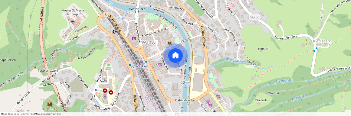 9630, Wattwil, Thuraustrasse