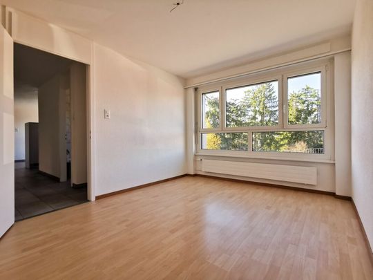 Grand logement de 5.5 pièces au 1er étage - Photo 1