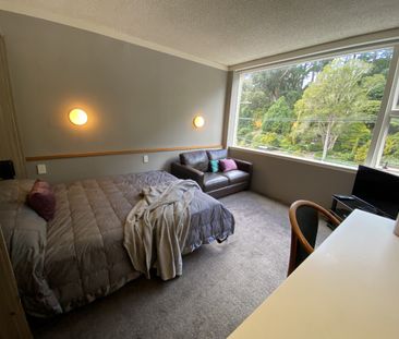 Welcome to apartment 305 in Sharella Living Thorndon - Photo 3