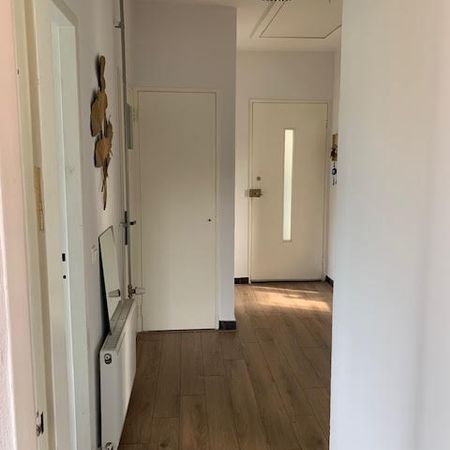 Boeimeerlaan - Foto 3