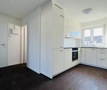 Neubau, Zweitbezug 3-Zimmerwohnungen mit Balkon und Keller - Photo 1