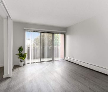 1 Bedroom - Photo 2