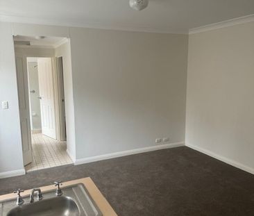 1/38A Meeks Street, Kingsford NSW 2032 - Apartment For Rent | Domain - Photo 5