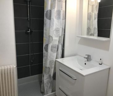 Location Appartement 1 pièce 20m² - Photo 4