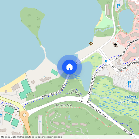 118 Chemin de Kandahar, Mont-Tremblant, Mont-Tremblant, Laurentides, J8E 1E1