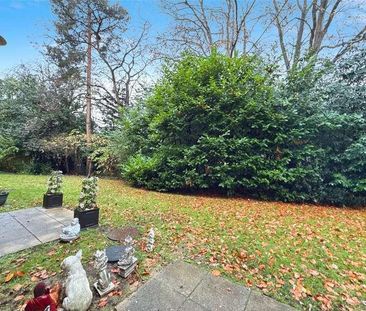 Netherby Gardens, Bracknell, Berkshire, RG12 - Photo 6