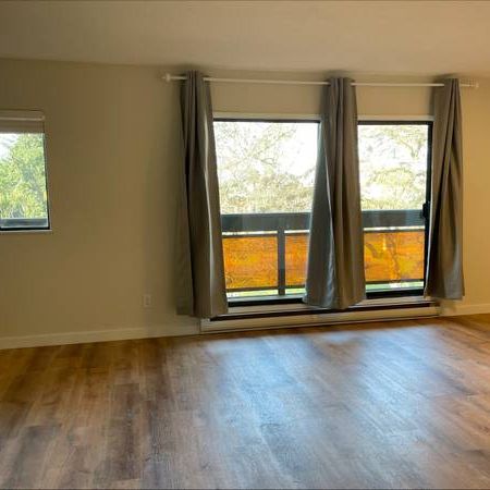 1 Bedroom Suite at 1022 Pandora Ave - Photo 4