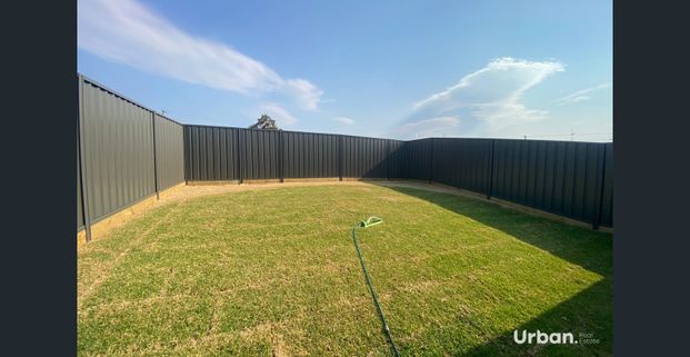 Two Bedroom Granny Flat In Gillieston Heights - Photo 1